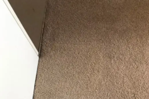Carpet Cleaning in Cheltenham